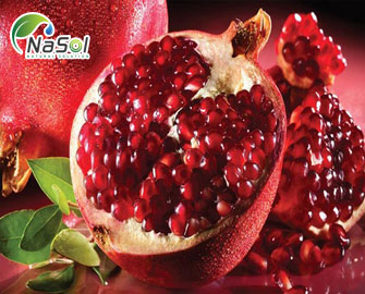 Chiết xuất vỏ lựu Chiết xuất vỏ lựu
