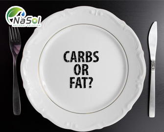 23 Nghiên cứu về chế độ ăn Low Carb (ít tinh bột) và Low fat (ít chất béo) 