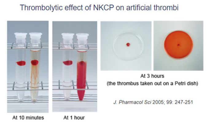 Tác dụng NKCP với tiêu huyết khối