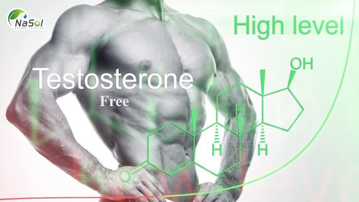Tại sao cần tăng testosterone tự do