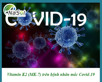 Vitamin K2 (MK-7) có thể làm giảm sự trầm trọng khi mắc Covid-19