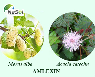 Amlexin™ – Bảo vệ sụn khớp
