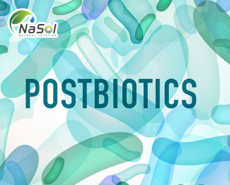 Postbiotic là gì? Và lợi ích với sức khỏe