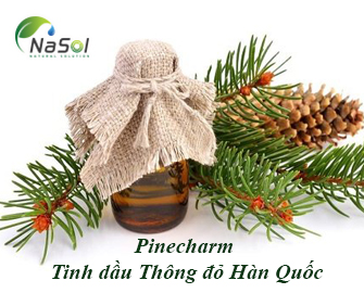 Pinecharm (Tinh dầu Thông đỏ Hàn Quốc)