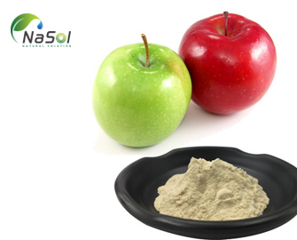 Bột Chiết xuất táo hữu cơ - Apple Powder Extract High Polyphenols Organic 
