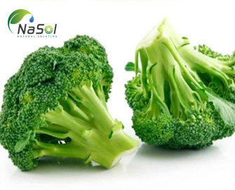 Broccoli extract - Chiết xuất Bông cải xanh