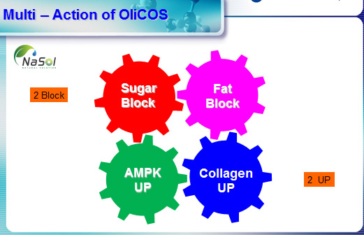 Cơ chế đa tác động của Chitosan (OliCOS®)