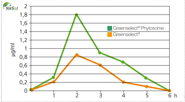Bảng so sánh nồng độ EGCG hấp thụ được giữa Green tea phytosome và Green tea extract