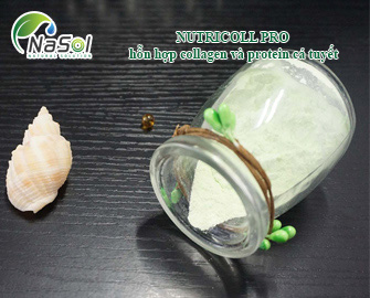 Nutricoll pro - hỗn hợp collagen và protein  cá tuyết