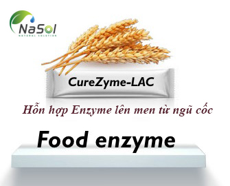 Curezyme-LAC (Hỗn hợp Enzyme lên men từ ngũ cốc)