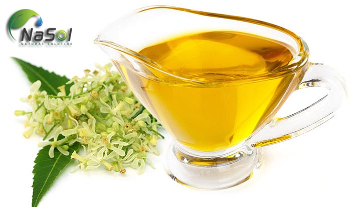 tác dụng của tinh dầu neem