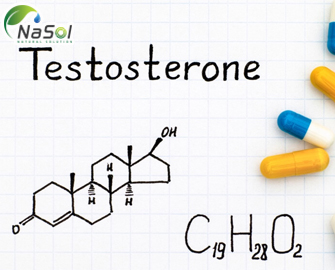 Phân biệt testosterone toàn phần và testosterone tự do