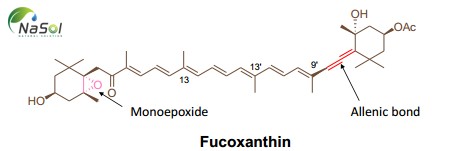 Cấu trúc của Fucoxanthin