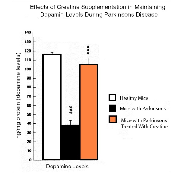 creatine giảm sự tiến triển của parkinson