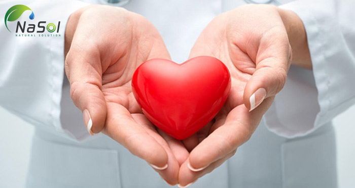 Nguyên liệu gymnema sylvestre hỗ trợ bảo vệ sức khỏe tim mạch