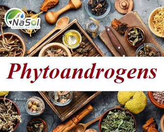 Phytoandrogens: Lợi ích, cơ chế hoạt động và nguồn gốc