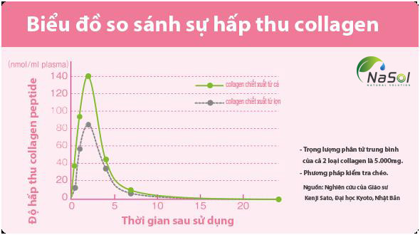 Biểu đồ so sánh sự hấp thu collagen chiết xuất từ lợn và chiết xuất từ cá