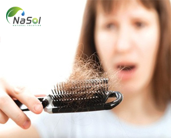 Bốn nguyên liệu ngăn ngừa rụng tóc hiệu quả 