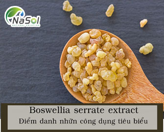 Boswellia serrate extract - Điểm danh những công dụng tiêu biểu của cao nhũ hương