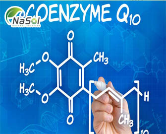 Coenzyme Q10 – 8 công dụng với sức khỏe- Nguyên liệu Nasol
