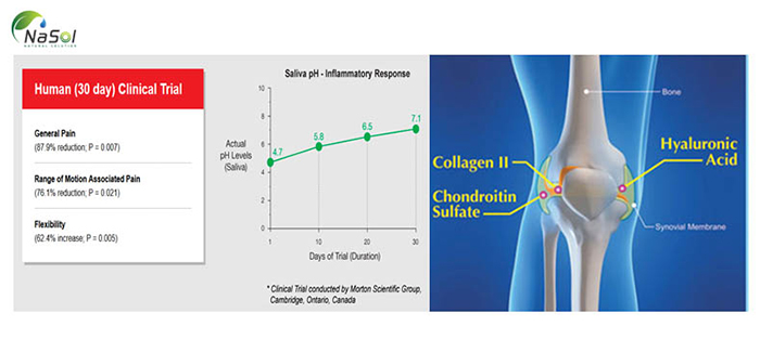 tác dụng của Collagen tuy II