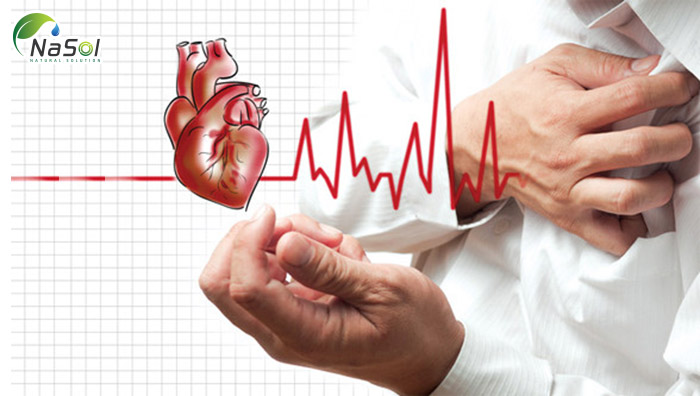 Dầu nhuyễn thể tăng cường sức khỏe tim mạch