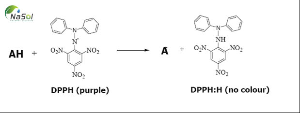 mục đích để xác định các hoạt động chống oxy hóa bằng cách sử dụng một ổn định alpha gốc tự do (DPPH)