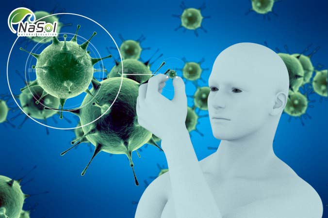 Hệ miễn dịch được xem như lá chắn bảo vệ sức khỏe con người