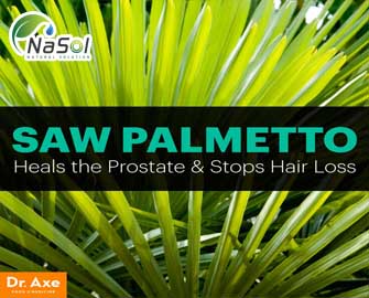 5 Lợi ích của Saw Palmetto với bệnh phì đại tiền liệt tuyến và chứng rụng tóc 