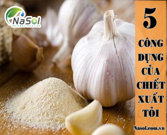 5 công dụng của chiết xuất Tỏi (garlic extract) -