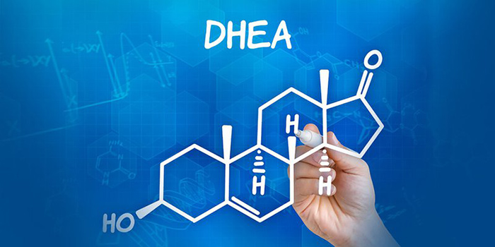 Nguyên liệu DHEA
