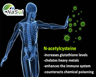 9 Thực phẩm và chất bổ sung giúp cơ thể tăng sản xuất Glutathione - Nguyên liệu Nasol