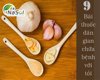 9 bài thuốc dân gian chữa bệnh với tỏi