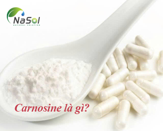 Carnosine là gì? Những lợi ích sức khỏe 