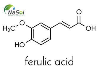 Axit ferulic: cấu trúc, nguồn gốc và tác dụng