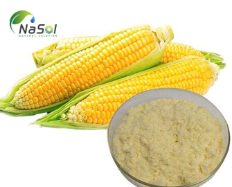 Peptide ngô là gì? ứng dụng trong chăm sóc sức khỏe