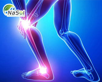 So sánh hiệu quả của hỗn hợp chiết xuất hoàng cầm và cây keo cao (Up446) và Naproxen trong điều trị bệnh viêm xương khớp