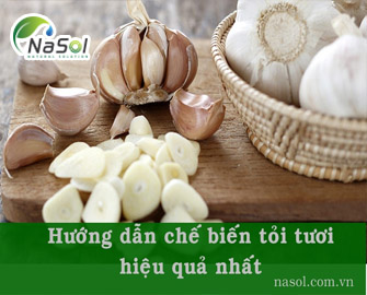 Hướng dẫn chế biến tỏi tươi cho hiệu quả cao nhất