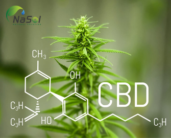 Levagen plus Liệu pháp thay thế CBD trên vận động viên thể thao 