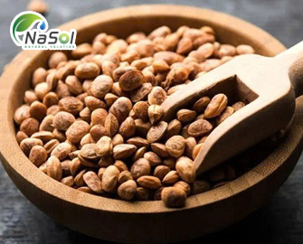 Lợi ích sức khỏe của hạt chironji