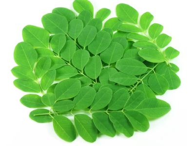 6 lợi ích sức khỏe dựa trên khoa học của Moringa oleifera (Chùm ngây)