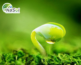 Lợi ích của Soy Isoflavone với thời kỳ mãn kinh 