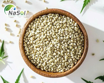 Hạt gai dầu: lợi ích sức khỏe với phụ nữ