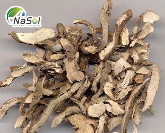 Lợi ích sức khỏe của rễ calamus (thủy xương bồ)