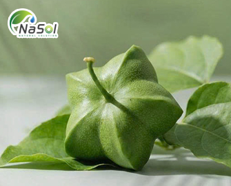 Lợi ích sức khỏe của hạt Sacha inchi