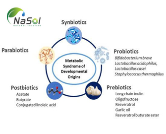 Phân biệt Parabiotics và postbiotics: các dạng của chúng