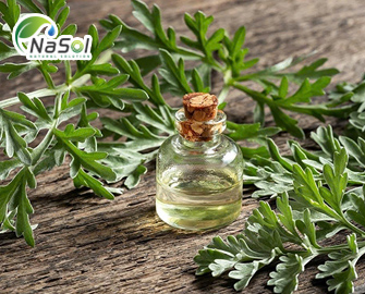 Thujone là gì? Và những điều cần biết