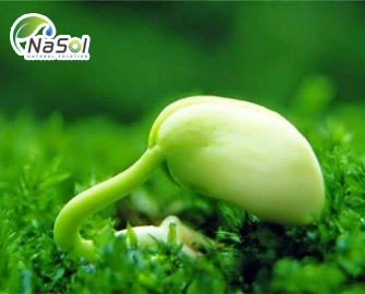 Những lưu ý để tăng tác dụng khi bổ sung Soy isoflavone 