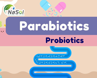 13 tác dụng có lợi của parabiotics với sức khỏe