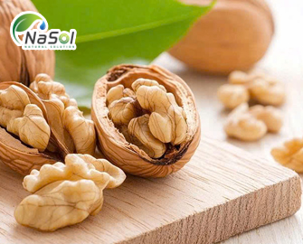 Lợi ích sức khỏe của peptide walnut